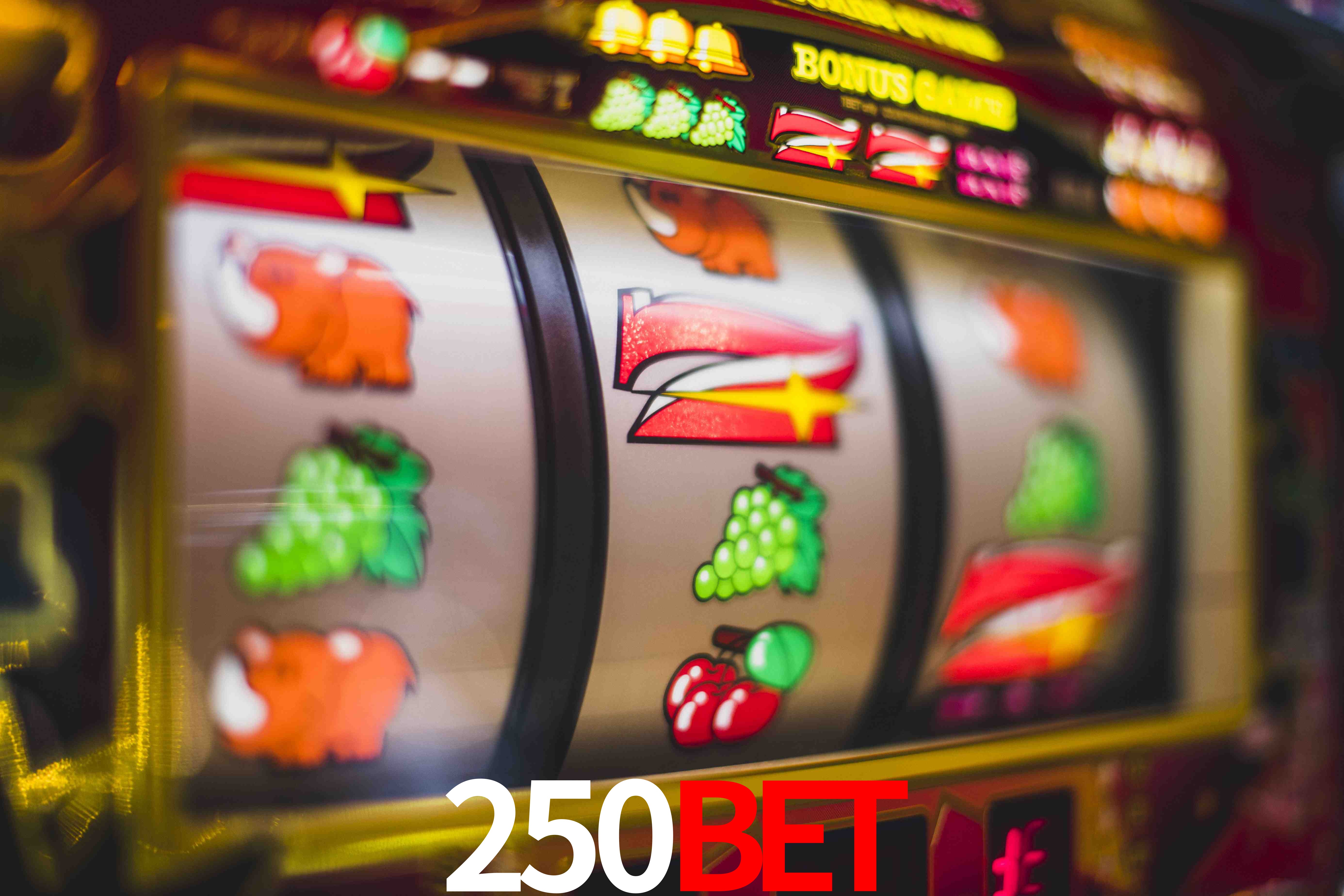 Sports Statistics 250BET